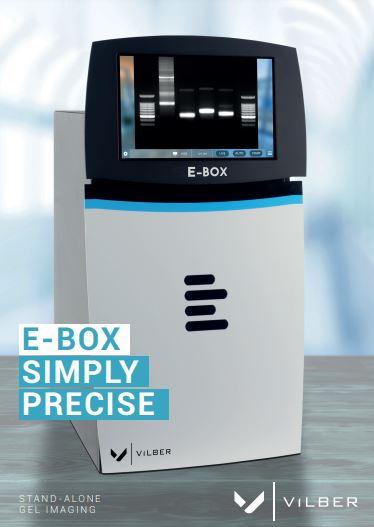 Alfa Genetics Vilber